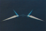 Double Turbo / Aile gyroscopique