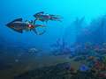 Aquas